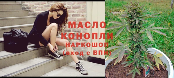 дмт Богородицк