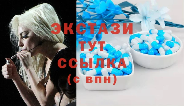 дмт Богородицк