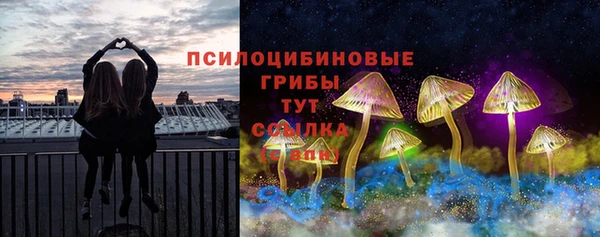 дмт Богородицк